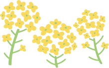 アセット 65